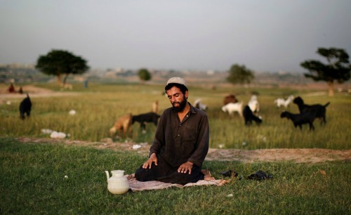 hopeful-melancholy: A Pakistani Muslim man offers the daily Asr prayer, near his goats feeding in a 