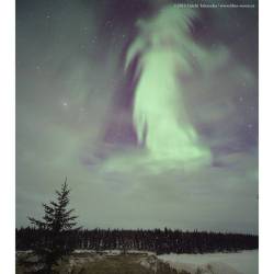 Ghost Aurora Over Canada #Nasa #Apod #Aurora #Atmosphere #Chargedparticles #Solarwind