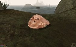 rpgfanatics:  The infamous Fargcrab spotted