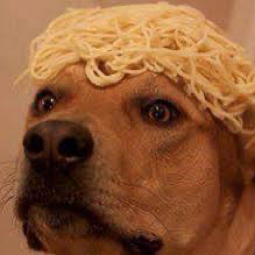 sadspaghetti:  when you think you’ve screwed