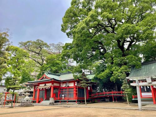 廣田八幡神社 香川県高松市 #廣田八幡神社 #神社 #香川県 #高松市 (廣田八幡神社) https://www.instagram.com/p/CdaQod6Pry6/?igshid=NGJjMDI