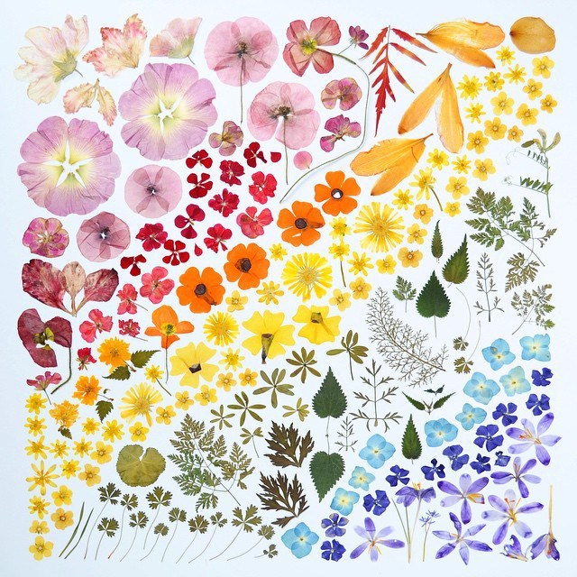 physicsshiny:  asylum-art-2:  Rainbow Worlds  by Julie Seabrook Ream Instagram 
