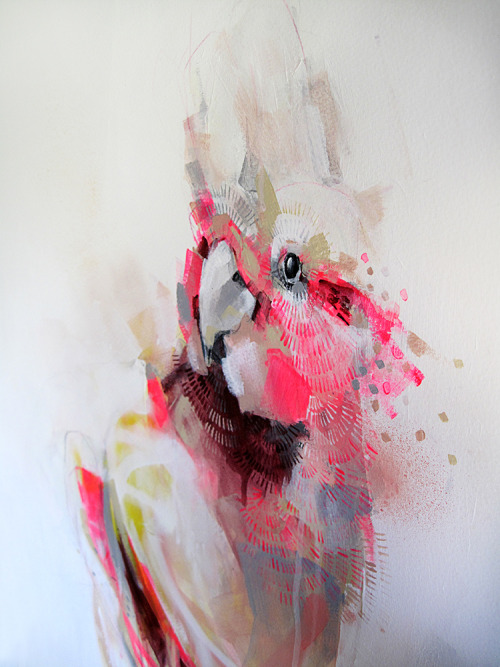 Galah Number 1Mixed media on paper55cm x 75cmAvailable