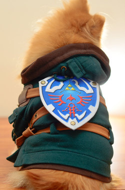 retrogamingblog:  Legend of Zelda Link Dog Costume made by HachiCorp 