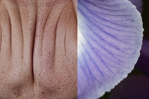 Hybrides - 2018 Denis Garnier