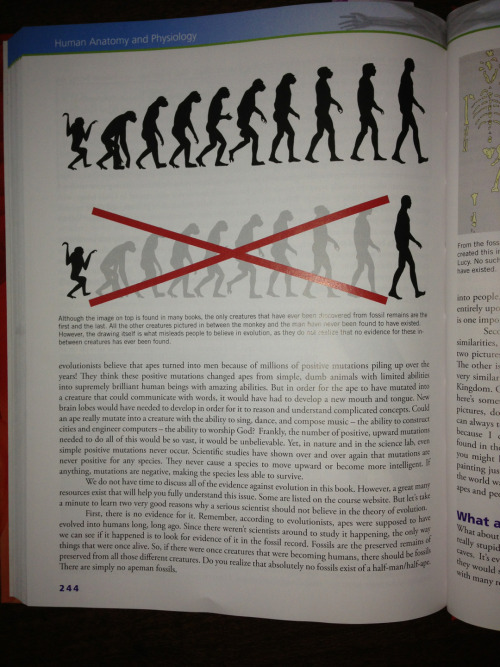 scienceing:anndruyan:altoidyoda:This is from my homeschooled nieces and nephews’ “science” textbook.