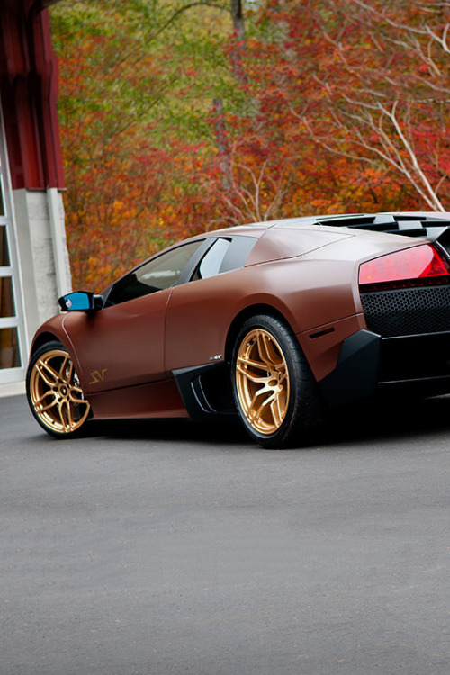 fullthrottleauto:  SuperVeloce (by CatsExotics) (#FTA)