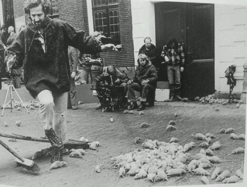 mubiblog:Werner Herzog releases 11,000 hand-painted rats to the streets of Schiedam.