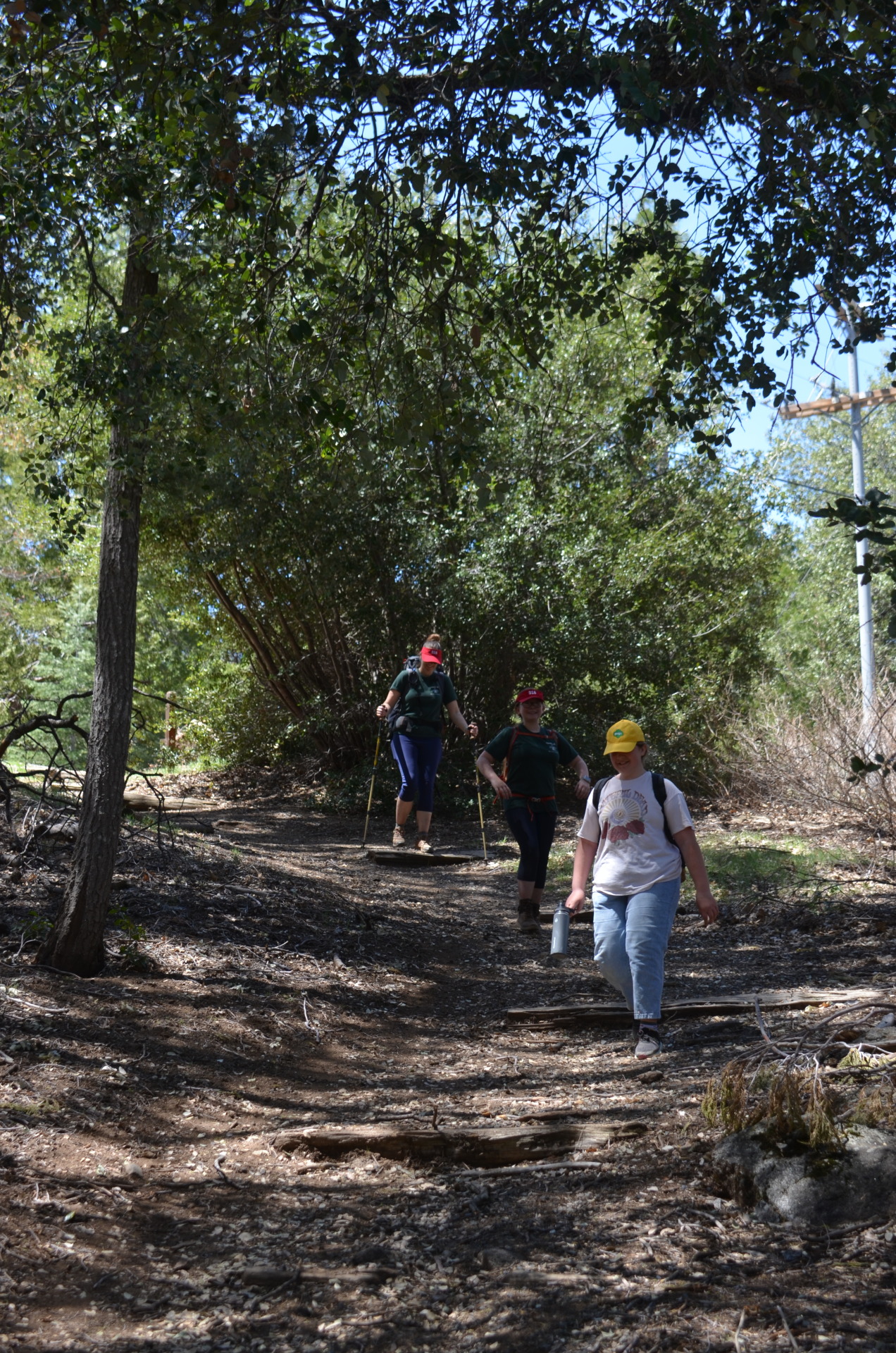 The troop went camping on Palomar mountain over the weekend and hiked 6 miles. Good job people!