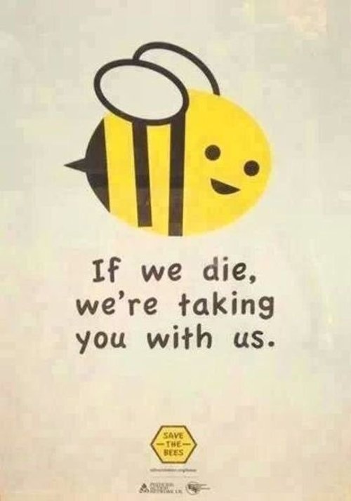 XXX It’d OK if you die bees, we deserve photo