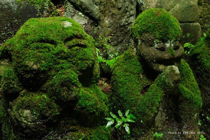 onyxrabbit:  funkalmighty:  taktophoto:  1,200 Whimsical Stone Statues at Buddhist