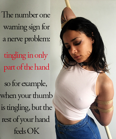 theropegeek:New and Improved rope, photos, layout, and text by me models:  katsura, @ropebaby, @vonk