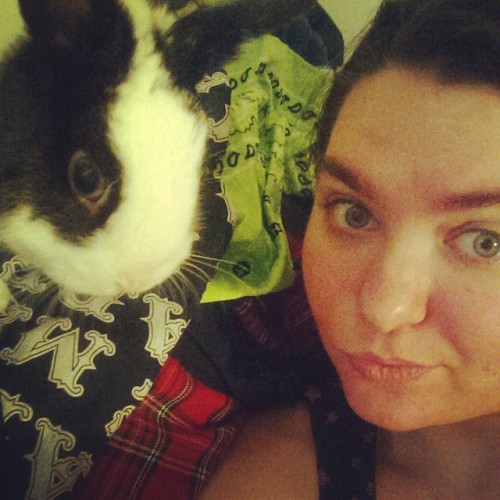 Porn photo #InstaBunnies #BunnyLife #Bunnies