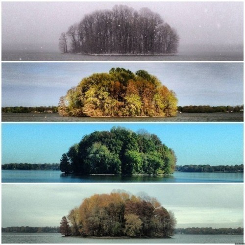 sixpenceee:  A photograph capturing the seasons. This was completed by tylercasson for doing this ye