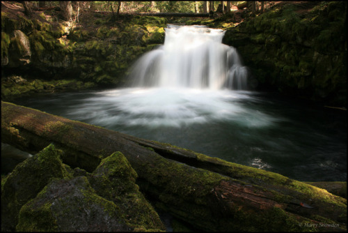 wayoutwest:Whitehorse Falls  - Umpqua National Forest - OregonHarry Snowden