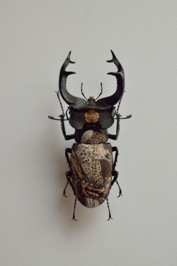 archiemcphee:  The Department of Teeny-Weeny Wonders loves the work of Japanese artist Akihiro Higuchi, who uses beetle and moth specimens as miniature canvases for exquisite oil paintings.   steampunktendencies Oil on Beetle by Akihiro Higuchi  