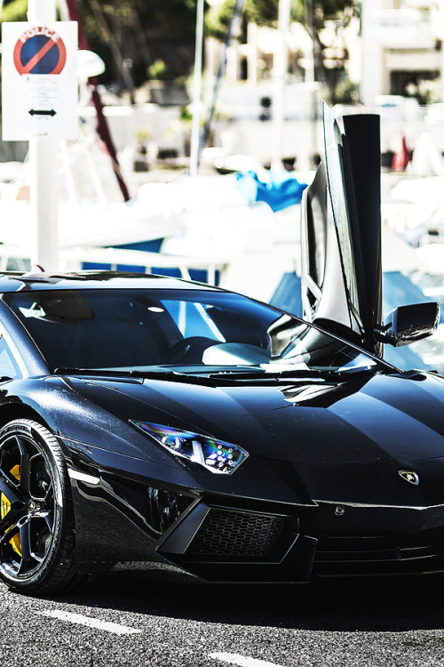 Sunbathing Aventador | © | AOI