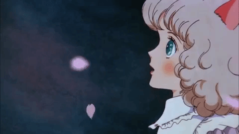 rainfawn:the star of cottonland 🌟