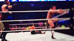 idontlikewrestling:  [x] 