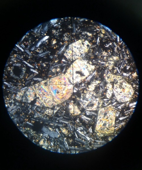 gloomywormwood:Petrography day. Basalt in thin section. 