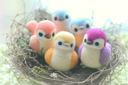 nozomicrafts:Needle felted birds from www.nozomicrafts.etsy.com