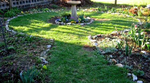 geopsych:  Hope returns to the garden.  The bare patch near the bird bath is from how big the ligularia grew last year, and it will grow to cover it this year! Looks like I need to spend some time rearranging the outer circle. Winter was harsh.