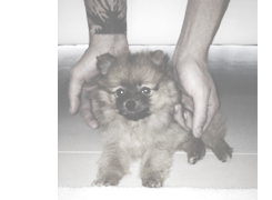 hazzaway:  nobody compares to you.     