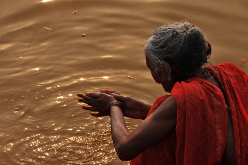 Golden Ganga