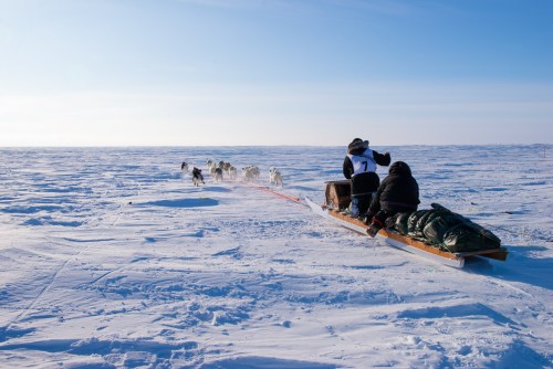 darkwood-sleddog:Images from the Ivakkak 2020, a dog sled race that celebrates Inuit tradition in do