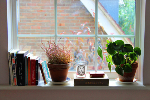 tidy up day at my study (i do not actually sleep here, this is a day bed only). the light isn’