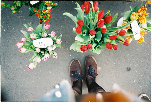 impuni:000035 by Leavethelies on Flickr.