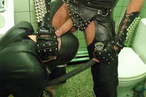 Pig4pigs.tumblr.com