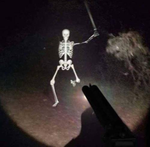 cursed-vault: @cursed-vault skeley boi