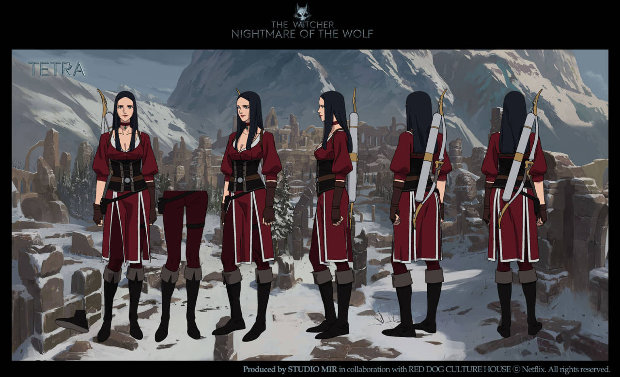 witcher nightmare of the wolf release date