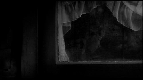 thewraithrisingfilmscenes: Eraserhead [1977] David Lynch