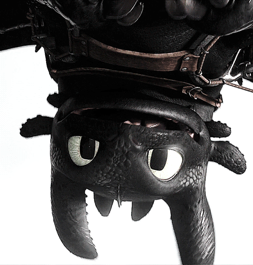 thingols:  Toothless being the absolutely cutest dragon in the whole world 