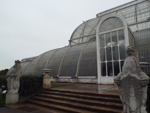 Research - Trip to Kew Gardens, looking for inspiration for the menagerie and glass domes in which L