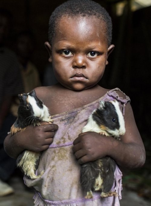 Una niña posa con dos curíes (cavia porcellus) que le fueron entregados durante la distribución de animales a su comunidad de parte de un programa de seguridad alimenticia de la organización “Action Against Hunger International (ACF)”, en Karete,...