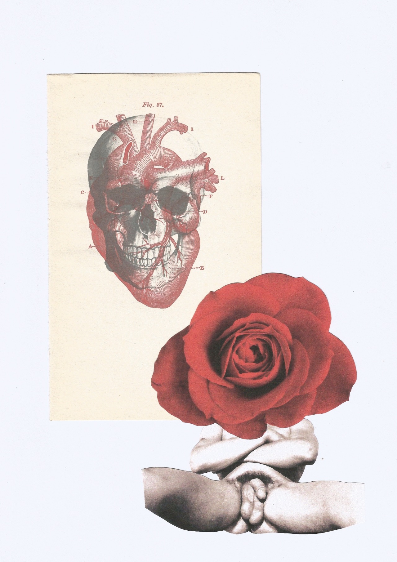 enolamai:  Sin In My Heart (8/8) 8” x 10” C-type prints 2014 @iambsebastian 