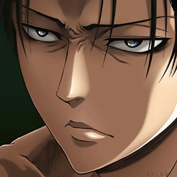 aplevi:Shingeki No Kyojin: Levi and Mikasa 