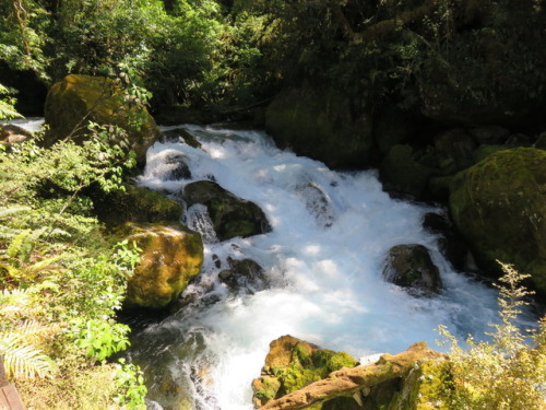 chesterlampkin: The Hollyford River in Fiordland National Park, #NewZealand. Jan. 2016.