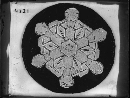 onceuponatown: Snow. 1916-1922. Wilson Alwyn Bentley pioneered the technique of snowflake photograph