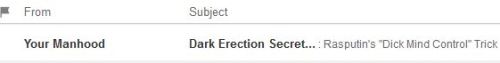 mormonfries:mr-worldwide:I have never wanted to open a spam email so badly ra, ra, Rasputin / buy my