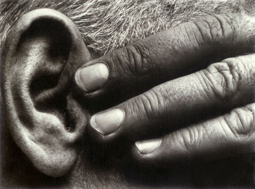 mpdrolet:Hand and Ear (Ramiel McGehee), 1930Brett Weston