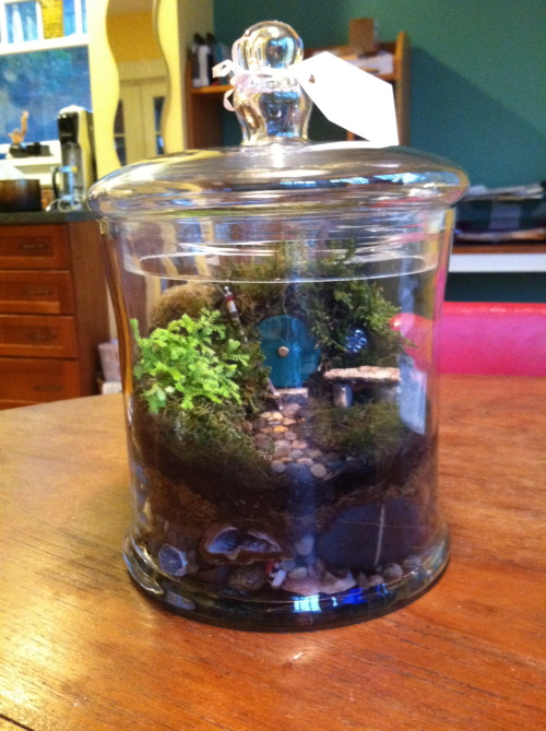 katchowder:  my mom made me my own hobbit home moss garden shire  wut  
