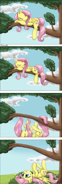 cocoa-bean-loves-fluttershy:  Fluttercomic by otakuap  Oopsie! x3 Silly Flutters, gotta be more careful where ya nap~