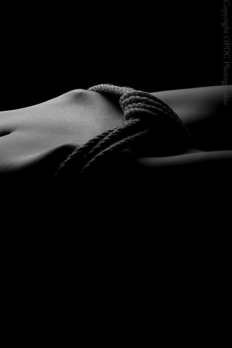 FANTAISIE IS OUR PLEASURE