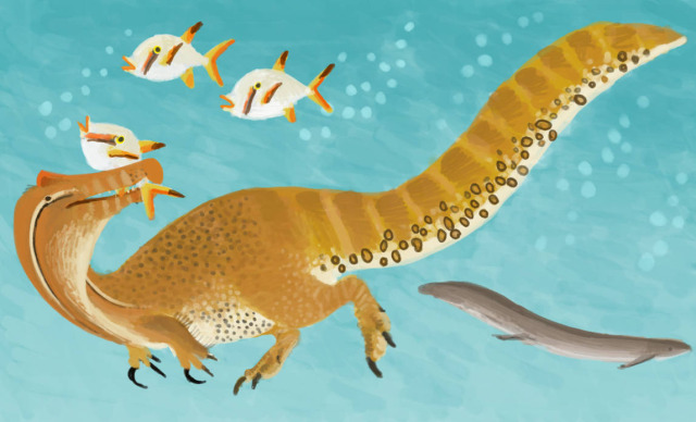 A Dinosaur A Day The Brazilian Spinosaurid Irritator Challengeri a-dinosaur-a-day-the-brazilian-spinosaurid-irritator-challengeri