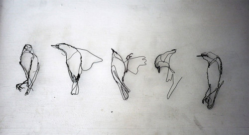 coolthingoftheday:  Artist David Oliviera creates intricate wire animal sculptures that resemble pencil sketches. 