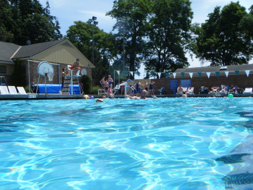 xlbears:  The XLBears took a dip in Colman pool last weekend and someone had an underwater camera!